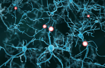 Quel est le facteur de croissance nerveuse? (6 raisons surprenantes dont vous en avez besoin)